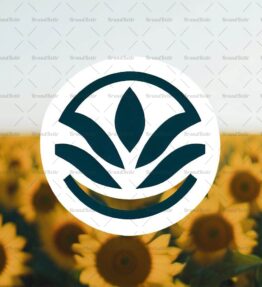 Sonnenblumenfeld