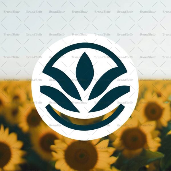 Sonnenblumenfeld