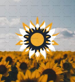 Sonnenblumenfeld