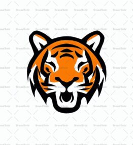 Tigerjunges