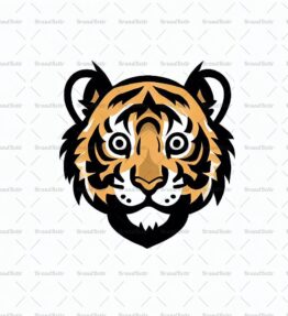 Tigerjunges