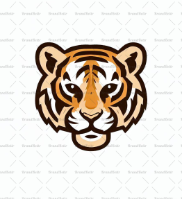 Tigerjunges