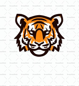 Tigerjunges