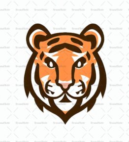 Tigerjunges