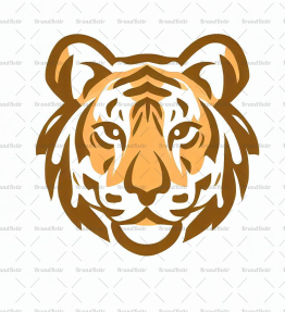Tigerjunges