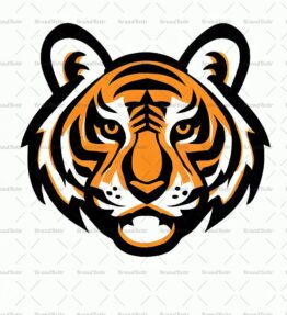Tigerjunges
