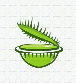 Venusfliegenfalle