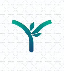 Y