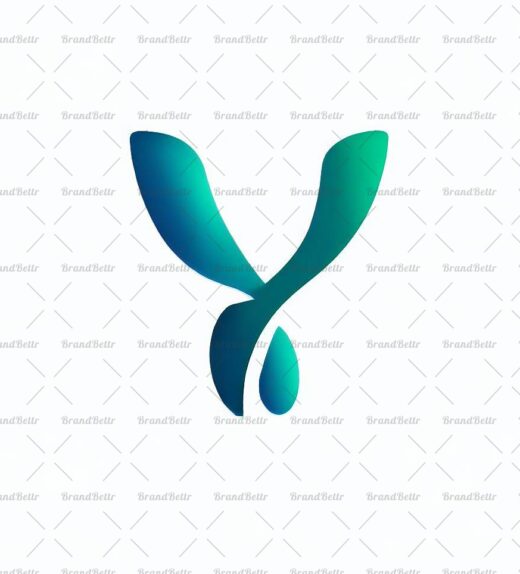 Y